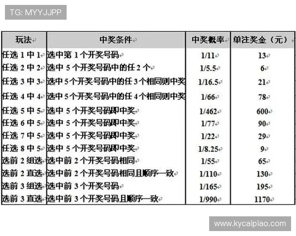 11选5投注技巧解析与选号策略详解助你提高中奖概率