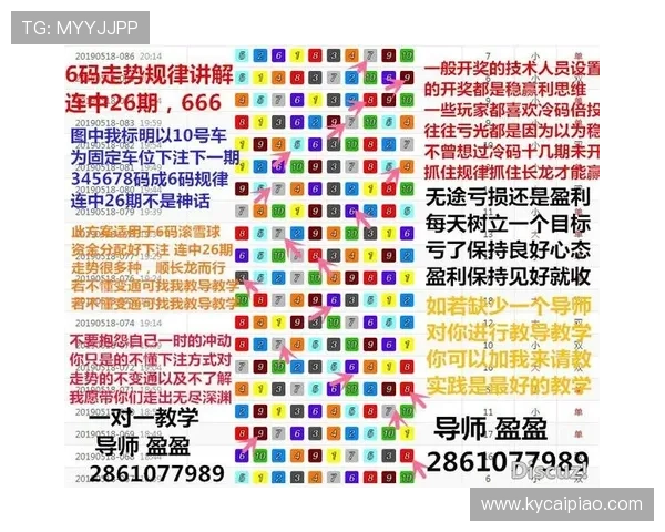 官方飞艇玩法全解析及投注技巧策略指南全面讲解