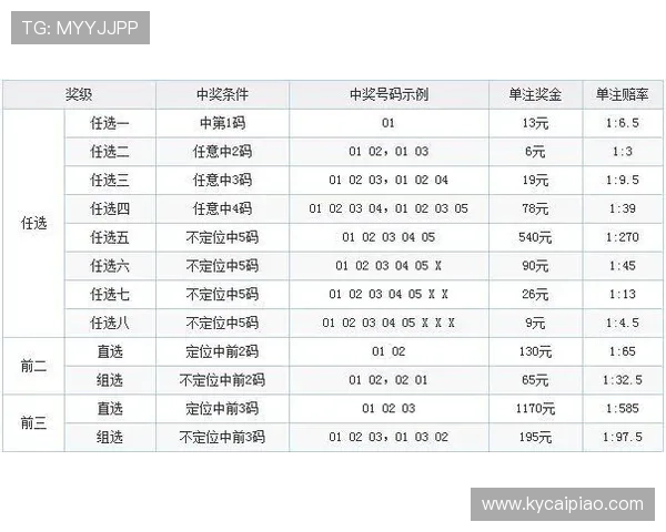 幸运11选5最新开奖数据分析与趋势预测，助您把握投注机会
